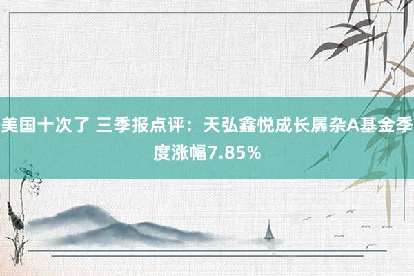 美国十次了 三季报点评：天弘鑫悦成长羼杂A基金季度涨幅7.85%