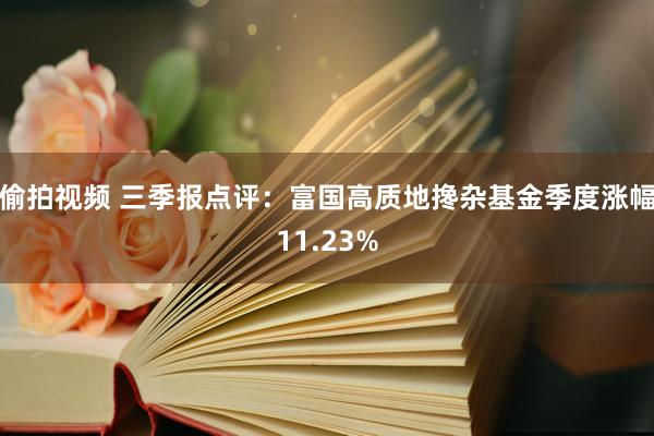 偷拍视频 三季报点评：富国高质地搀杂基金季度涨幅11.23%