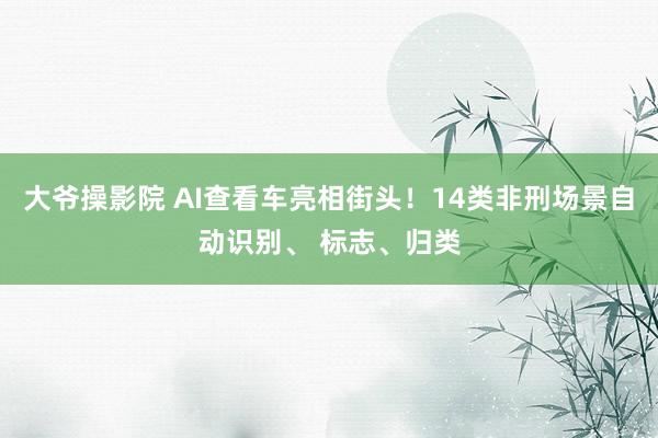 大爷操影院 AI查看车亮相街头！14类非刑场景自动识别、 标志、归类