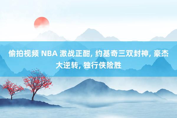 偷拍视频 NBA 激战正酣， 约基奇三双封神， 豪杰大逆转， 独行侠险胜