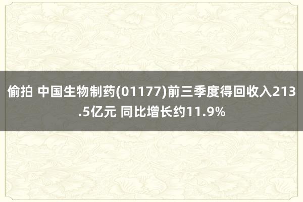 偷拍 中国生物制药(01177)前三季度得回收入213.5亿元 同比增长约11.9%