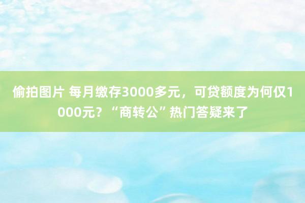 偷拍图片 每月缴存3000多元，可贷额度为何仅1000元？“商转公”热门答疑来了