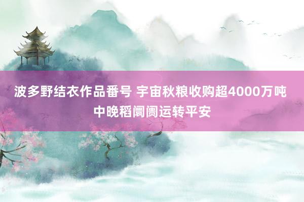 波多野结衣作品番号 宇宙秋粮收购超4000万吨 中晚稻阛阓运转平安