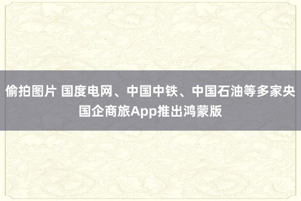 偷拍图片 国度电网、中国中铁、中国石油等多家央国企商旅App推出鸿蒙版