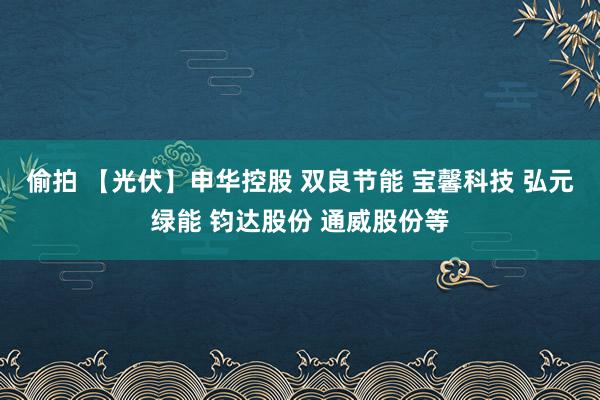 偷拍 【光伏】申华控股 双良节能 宝馨科技 弘元绿能 钧达股份 通威股份等