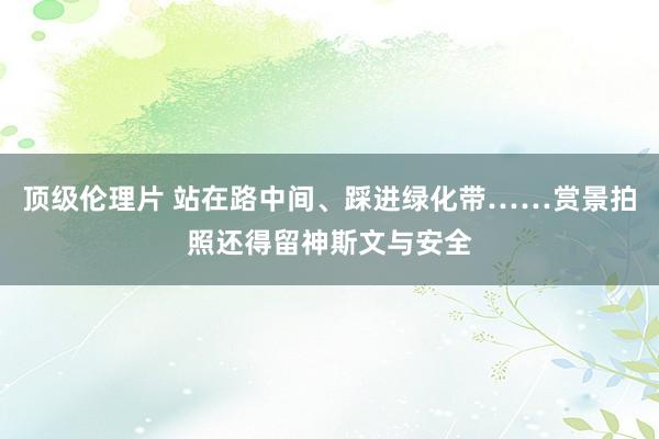 顶级伦理片 站在路中间、踩进绿化带……赏景拍照还得留神斯文与安全