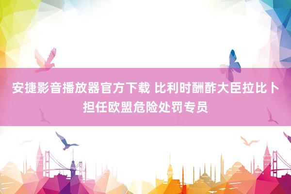 安捷影音播放器官方下载 比利时酬酢大臣拉比卜担任欧盟危险处罚专员