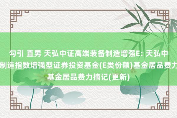 勾引 直男 天弘中证高端装备制造增强E: 天弘中证高端装备制造指数增强型证券投资基金(E类份额)基金居品费力摘记(更新)