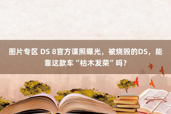 图片专区 DS 8官方谍照曝光，被烧毁的DS，能靠这款车“枯木发荣”吗？