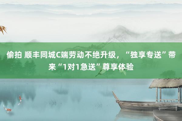 偷拍 顺丰同城C端劳动不绝升级，“独享专送”带来“1对1急送”尊享体验