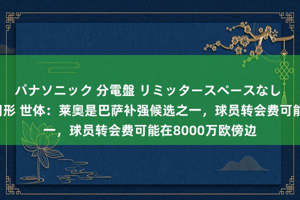 パナソニック 分電盤 リミッタースペースなし 露出・半埋込両用形 世体：莱奥是巴萨补强候选之一，球员转会费可能在8000万欧傍边