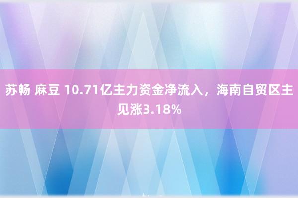 苏畅 麻豆 10.71亿主力资金净流入，海南自贸区主见涨3.18%