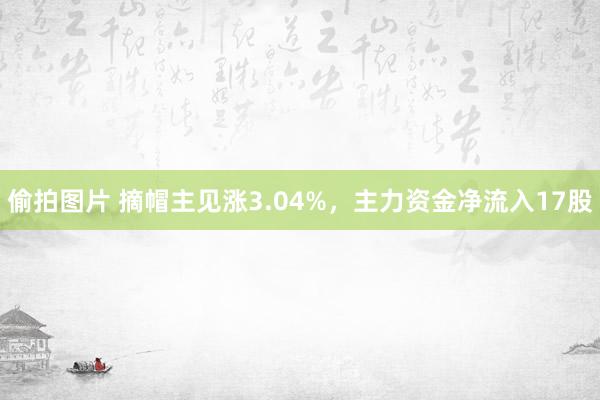 偷拍图片 摘帽主见涨3.04%，主力资金净流入17股