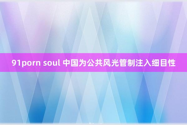 91porn soul 中国为公共风光管制注入细目性