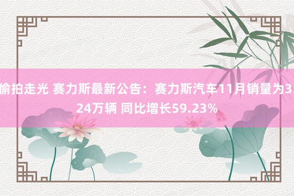 偷拍走光 赛力斯最新公告：赛力斯汽车11月销量为3.24万辆 同比增长59.23%