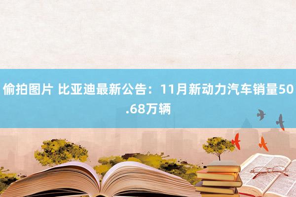 偷拍图片 比亚迪最新公告：11月新动力汽车销量50.68万辆