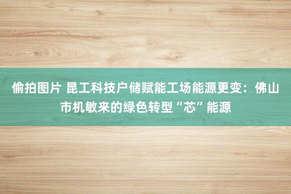 偷拍图片 昆工科技户储赋能工场能源更变：佛山市机敏来的绿色转型“芯”能源