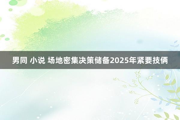 男同 小说 场地密集决策储备2025年紧要技俩