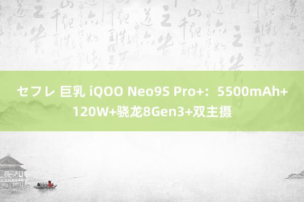 セフレ 巨乳 iQOO Neo9S Pro+：5500mAh+120W+骁龙8Gen3+双主摄