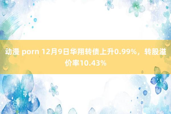 动漫 porn 12月9日华翔转债上升0.99%，转股溢价率10.43%