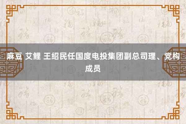 麻豆 艾鲤 王绍民任国度电投集团副总司理、党构成员