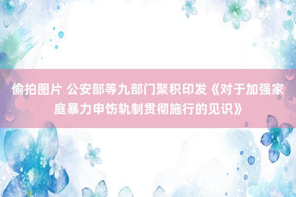 偷拍图片 公安部等九部门聚积印发《对于加强家庭暴力申饬轨制贯彻施行的见识》