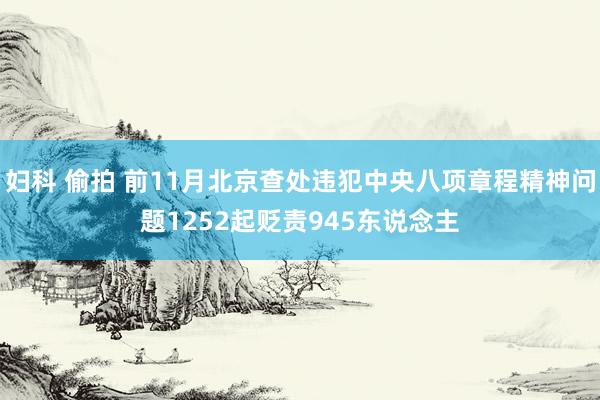 妇科 偷拍 前11月北京查处违犯中央八项章程精神问题1252起贬责945东说念主