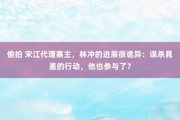 偷拍 宋江代理寨主，林冲的进展很诡异：谋杀晁盖的行动，他也参与了？