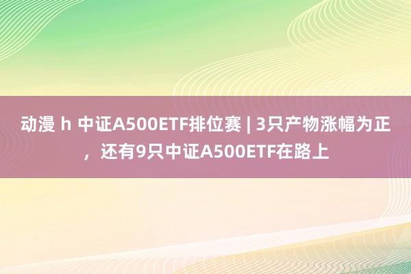 动漫 h 中证A500ETF排位赛 | 3只产物涨幅为正，还有9只中证A500ETF在路上