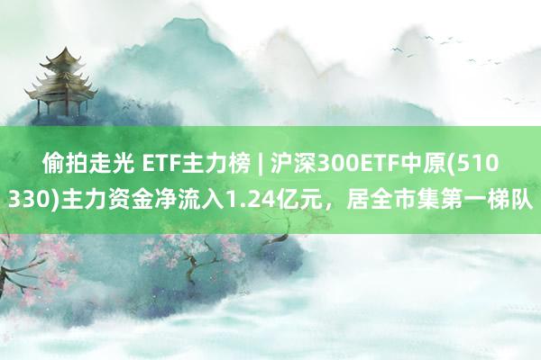 偷拍走光 ETF主力榜 | 沪深300ETF中原(510330)主力资金净流入1.24亿元，居全市集第一梯队