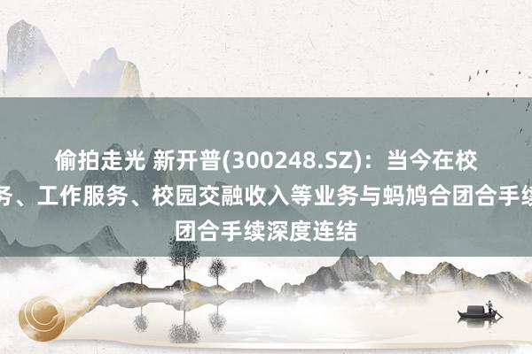 偷拍走光 新开普(300248.SZ)：当今在校园糊口服务、工作服务、校园交融收入等业务与蚂鸠合团合手续深度连结