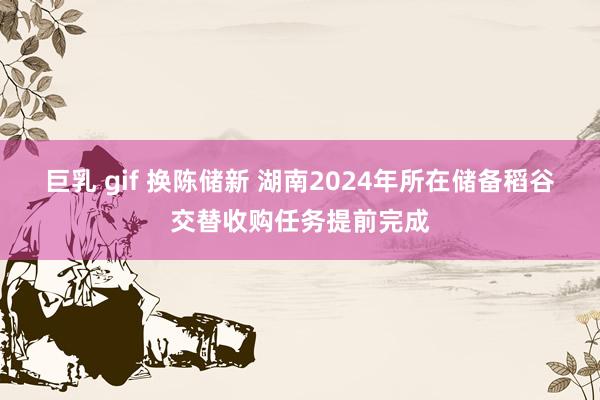 巨乳 gif 换陈储新 湖南2024年所在储备稻谷交替收购任务提前完成