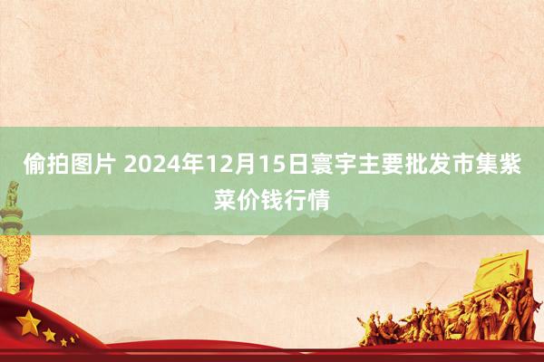 偷拍图片 2024年12月15日寰宇主要批发市集紫菜价钱行情