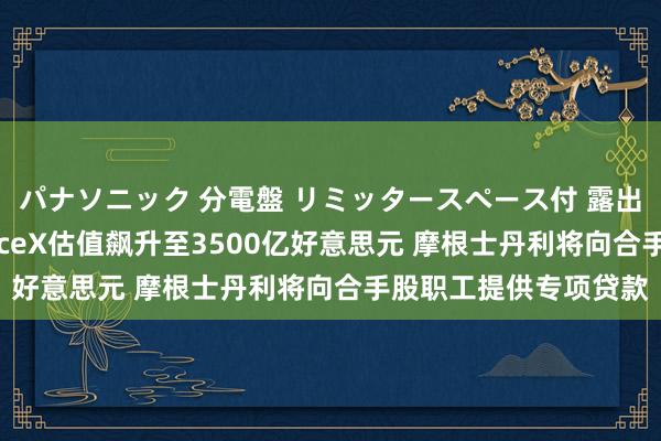 パナソニック 分電盤 リミッタースペース付 露出・半埋込両用形 SpaceX估值飙升至3500亿好意思元 摩根士丹利将向合手股职工提供专项贷款