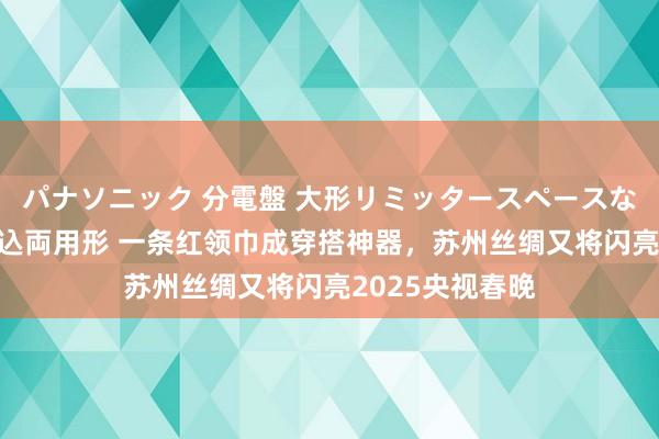 パナソニック 分電盤 大形リミッタースペースなし 露出・半埋込両用形 一条红领巾成穿搭神器，苏州丝绸又将闪亮2025央视春晚