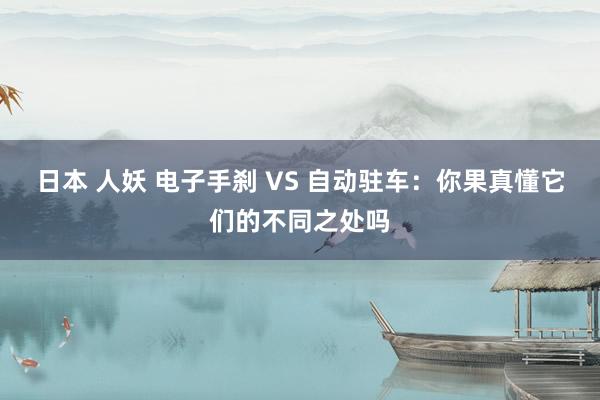 日本 人妖 电子手刹 VS 自动驻车：你果真懂它们的不同之处吗