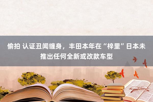 偷拍 认证丑闻缠身，丰田本年在“梓里”日本未推出任何全新或改款车型