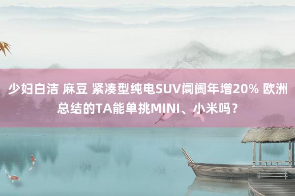 少妇白洁 麻豆 紧凑型纯电SUV阛阓年增20% 欧洲总结的TA能单挑MINI、小米吗？