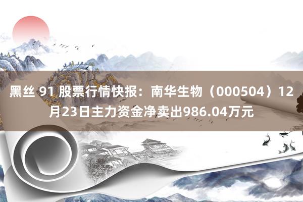 黑丝 91 股票行情快报：南华生物（000504）12月23日主力资金净卖出986.04万元