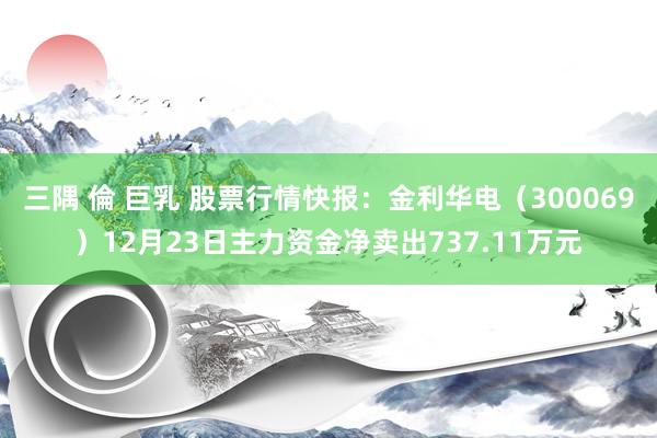 三隅 倫 巨乳 股票行情快报：金利华电（300069）12月23日主力资金净卖出737.11万元