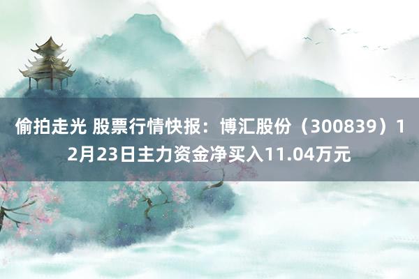 偷拍走光 股票行情快报：博汇股份（300839）12月23日主力资金净买入11.04万元