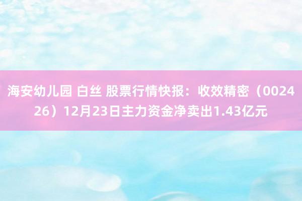 海安幼儿园 白丝 股票行情快报：收效精密（002426）12月23日主力资金净卖出1.43亿元