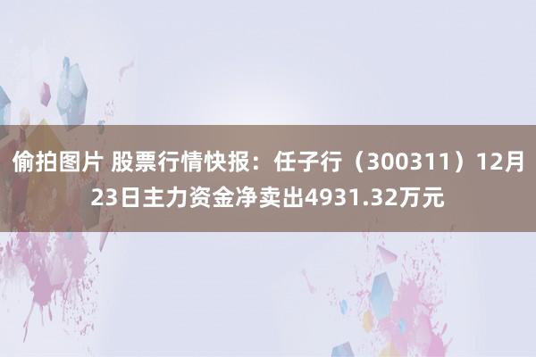 偷拍图片 股票行情快报：任子行（300311）12月23日主力资金净卖出4931.32万元