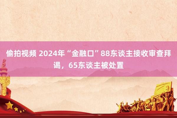 偷拍视频 2024年“金融口”88东谈主接收审查拜谒，65东谈主被处置