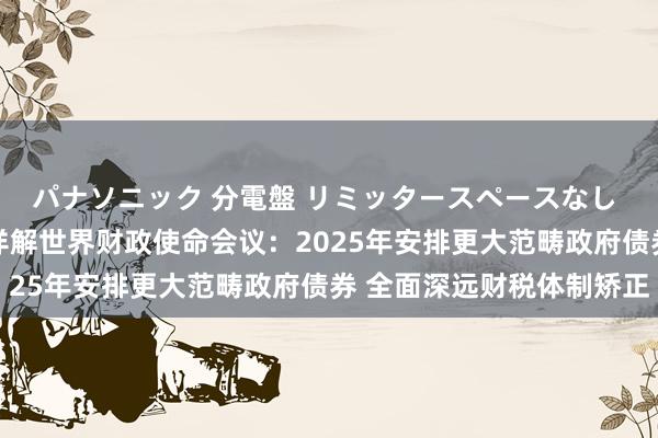 パナソニック 分電盤 リミッタースペースなし 露出・半埋込両用形 详解世界财政使命会议：2025年安排更大范畴政府债券 全面深远财税体制矫正