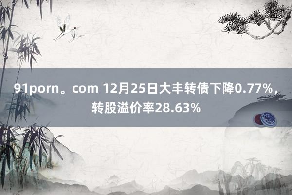 91porn。com 12月25日大丰转债下降0.77%，转股溢价率28.63%