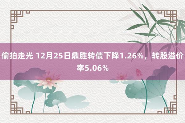 偷拍走光 12月25日鼎胜转债下降1.26%，转股溢价率5.06%