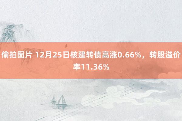 偷拍图片 12月25日核建转债高涨0.66%，转股溢价率11.36%