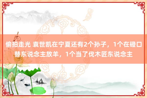 偷拍走光 袁世凯在宁夏还有2个孙子，1个在磴口替东说念主放羊，1个当了伐木匠东说念主