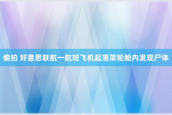 偷拍 好意思联航一航班飞机起落架轮舱内发现尸体